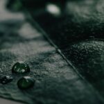 Homeopathy and holistic health